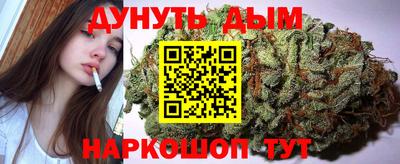 a pvp Славгород