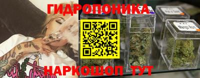 ГАЛЛЮЦИНОГЕННЫЕ ГРИБЫ Сланцы