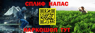 a pvp Славгород
