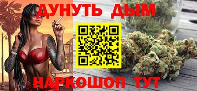 a pvp Славгород