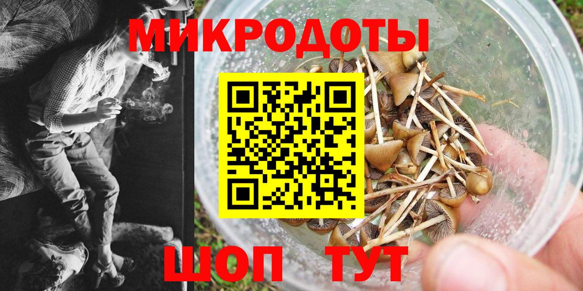 Нальчик  Псилоцибиновые грибы GOLDEN TEACHER  Вход с VPN  Галлюциногенные грибы Magic Shrooms 